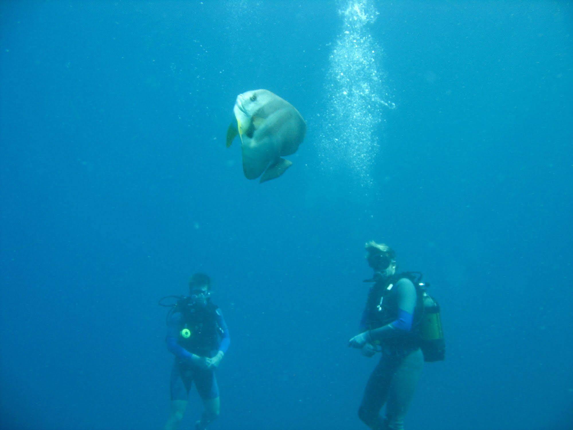 Dugong Beach Lodge Vilanculos Eksteriør bilde